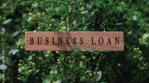 Business loan text. It is written on a wooden surface. The background is white.
