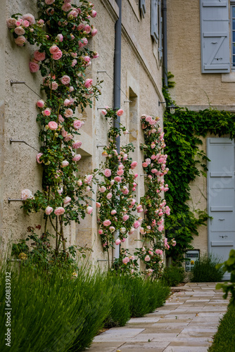 Cute  flowery and narrow streets of the small village of Lectoure in the south of France  Gers 