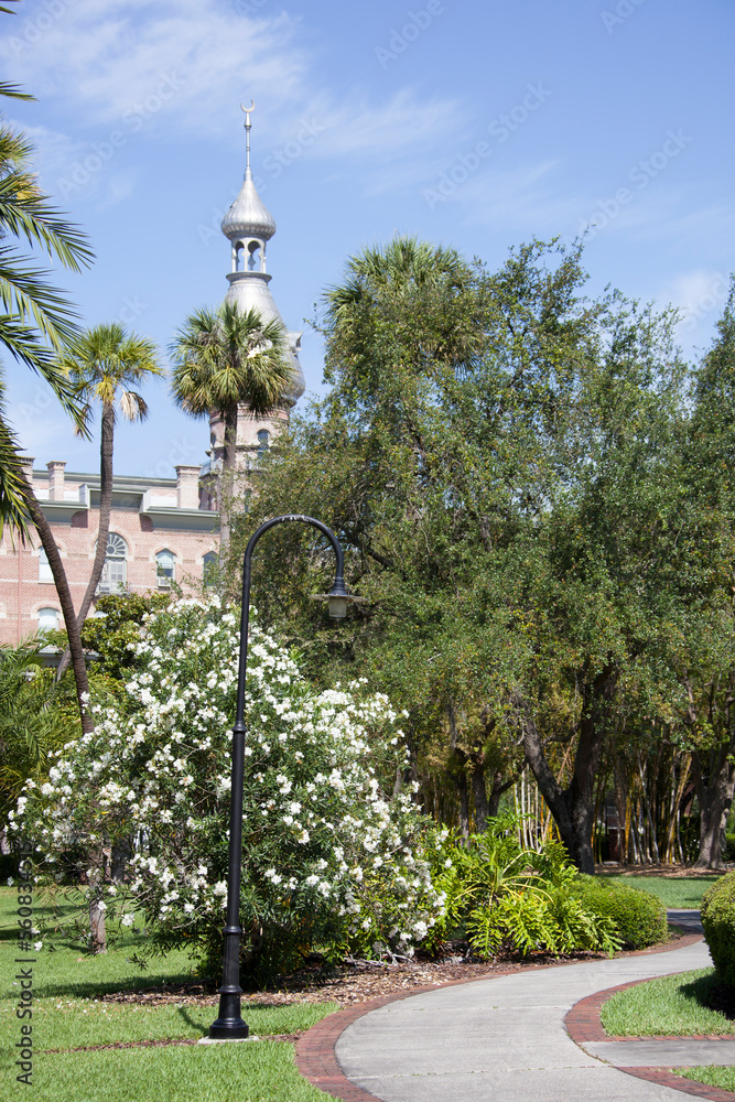 Fototapeta premium Tampa City Public Park Nature