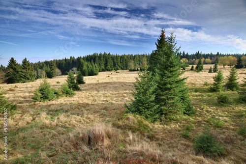 of natural meanders of river "Tepla Vltava" ("Warm Moldau") in the area of "Vltavsky Luh" in the National park Sumava. 