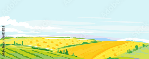 Fotografia Wheat ffields with haystacks on light blue sky, summer countryside with yellow h