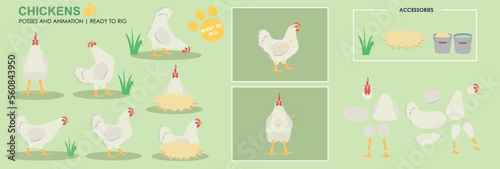 Cute Chicken whitecharacter hen ready to animate, multiple angles and poses, orange farm animals chicken for animation, vector collection