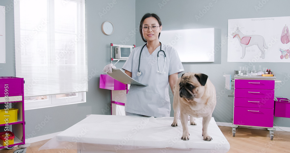 Waist up portrait view of female veterinarian looking at the camera after examines dog on an examination table in a veterinary clinic. Health care concept