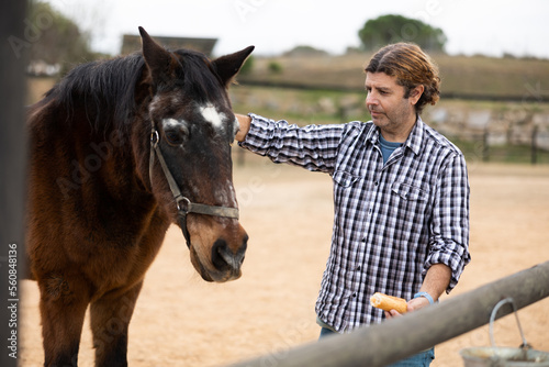 Male european farmer brushing horses on farm