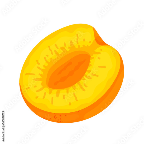 Juicy ripe apricot fruit.Vector graphics.