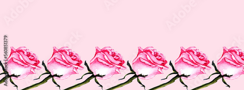 Sfondo con rose  in fila, cornice floreale su sfondo rosa photo