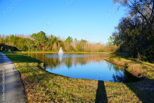 The colorful winter leaf and pond landscape in Florida © Feng