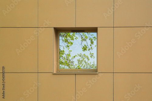 reflection of tree on the window