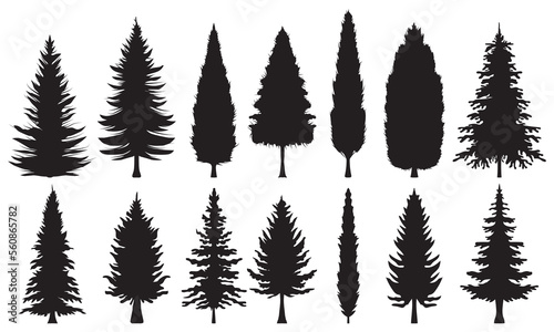 Collection of pine tree silhouettes. Various shapes of fir tree silhouettes