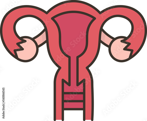 uterus  icon