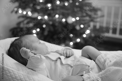 Newborn baby is looking at Christmas tree. The tree is decorated with lights. The cute baby boy is laying in special baby mattress cocoon. The picture is black and white. High quality photo