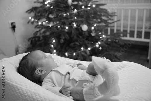 Newborn baby is looking at Christmas tree. The tree is decorated with lights. The cute baby boy is laying in special baby mattress cocoon. The picture is black and white. High quality photo