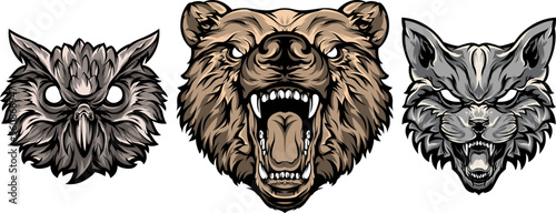 Head of bear, cat, owl. Abstract character illustrations. Graphic logo design template for emblem. Image of portraits.