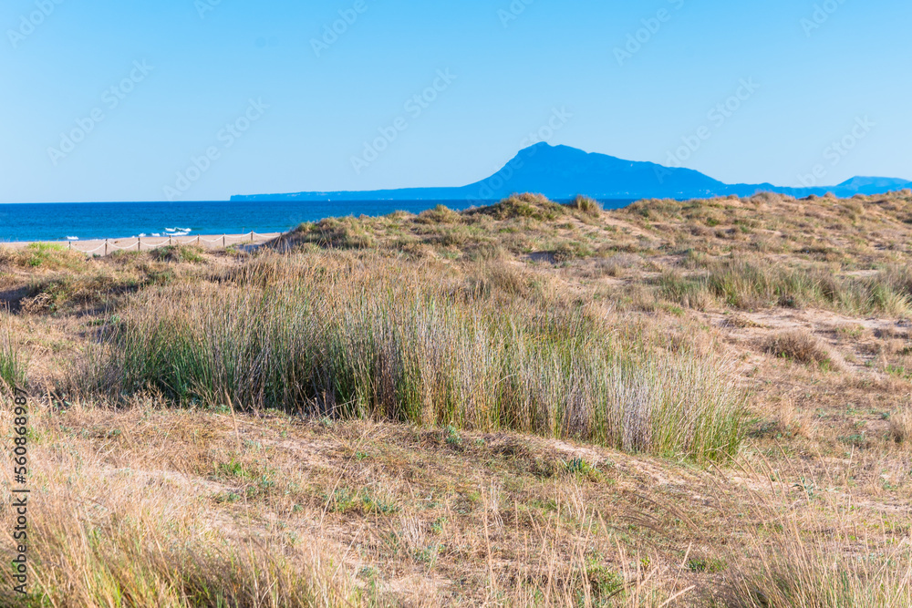 Hermoso paisaje de costa mediterránea, con dunas y arena fina. 