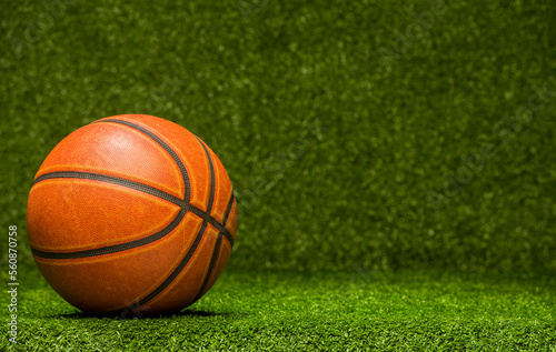 basketball ball on green background © serhii