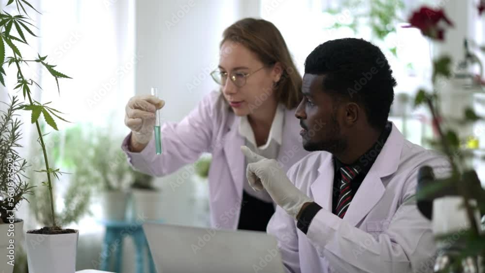 Two Young researcher analyzing liquid in tube at laboratory Two Young researcher analyzing liquid in tube at laboratory