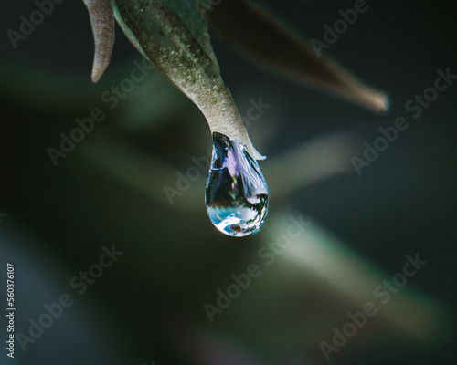 drop of water