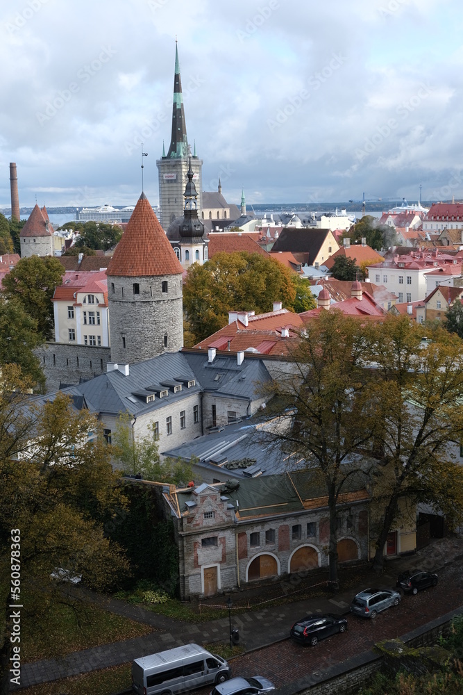 Portrait shot of Old Town from roof in Tallinn, Estonia