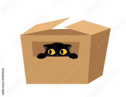 Black cat with box. Adorable animal hides and peeks out, playful character. Sticker for social networks and messengers. Love for animals and pets, care and support. Cartoon flat vector illustration