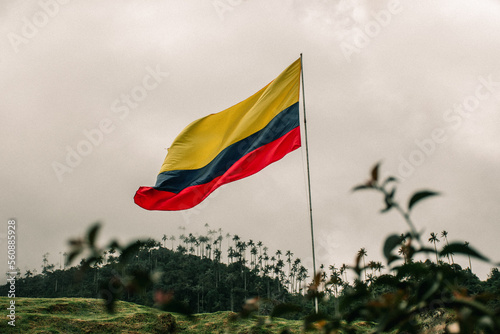 Billede på lærred a colombian flag flying in the wind on top of a hill with cocoa valley in the ba