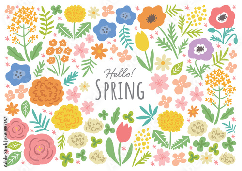 Print op canvas 春の花のイラストセット