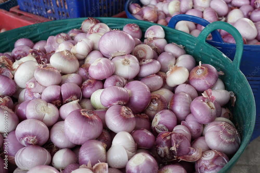 Peeled shallots in the big basket Peeled shallots in the big basket