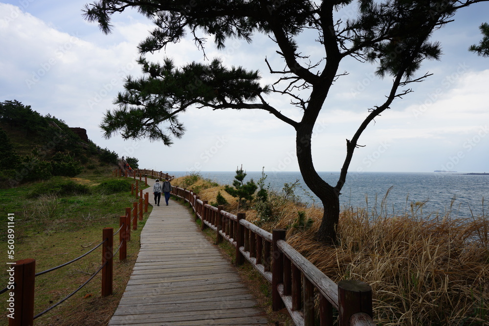 beautiful seaside walkway