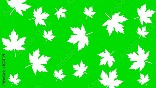 Maple leaves green nature background modern design vector