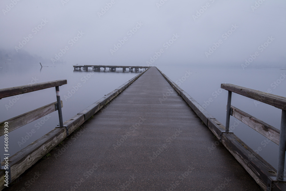 Dock surrounded by heavy fog in winter in Bothell, WA
Dock surrounded by heavy fog in winter in Bothell, WA