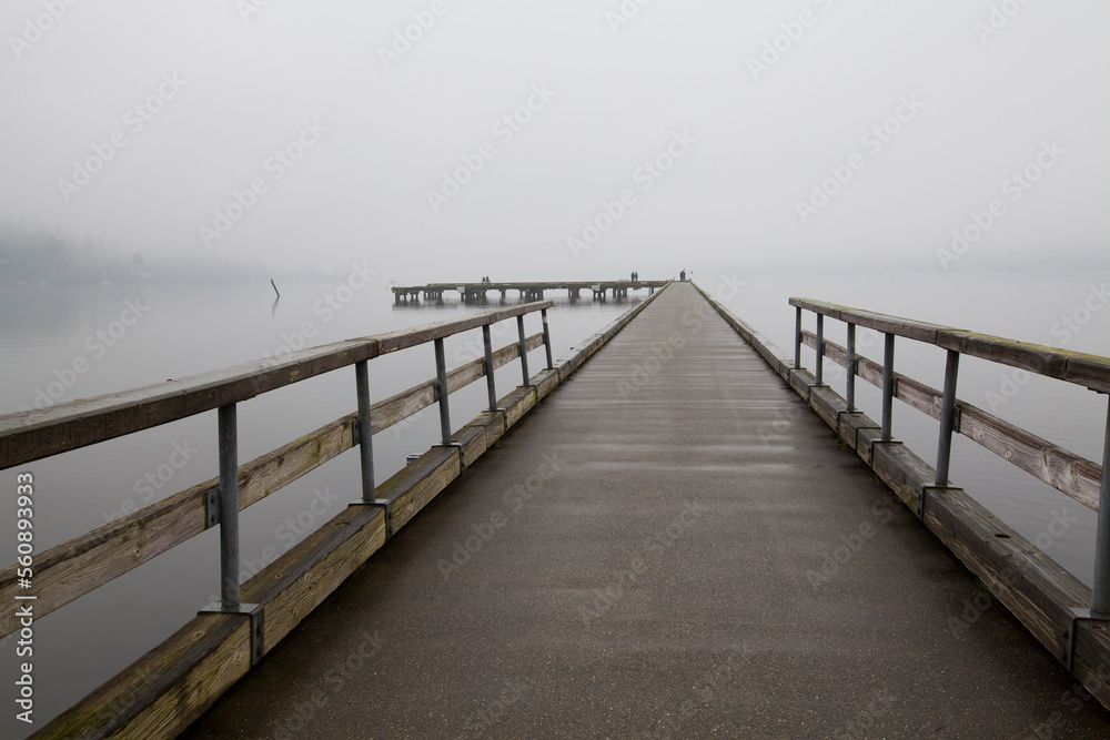 Dock surrounded by heavy fog in winter in Bothell, WA
