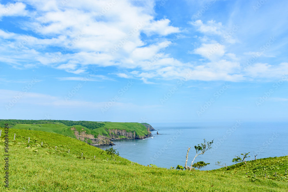 北海道 厚岸 あやめと馬と海と
北海道 厚岸 あやめと馬と海と