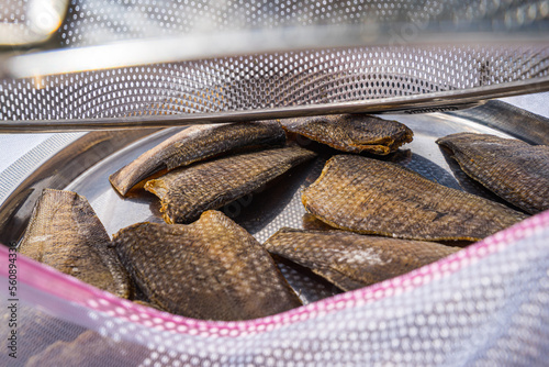 Drying salted fish (Snakeskin gourami) to save for food is a common practice in Vietnamese fish farming. It's the same as salty Italian meats. This will aid in reserving food sources for future season