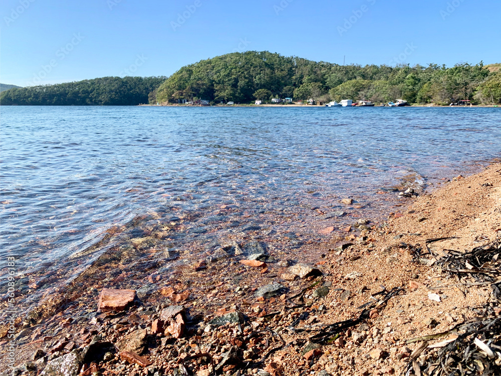 Russia, Vladivostok. Russian Island, Novik Bay in autumn in sunny day Russia, Vladivostok. Russian Island, Novik Bay in autumn in sunny day