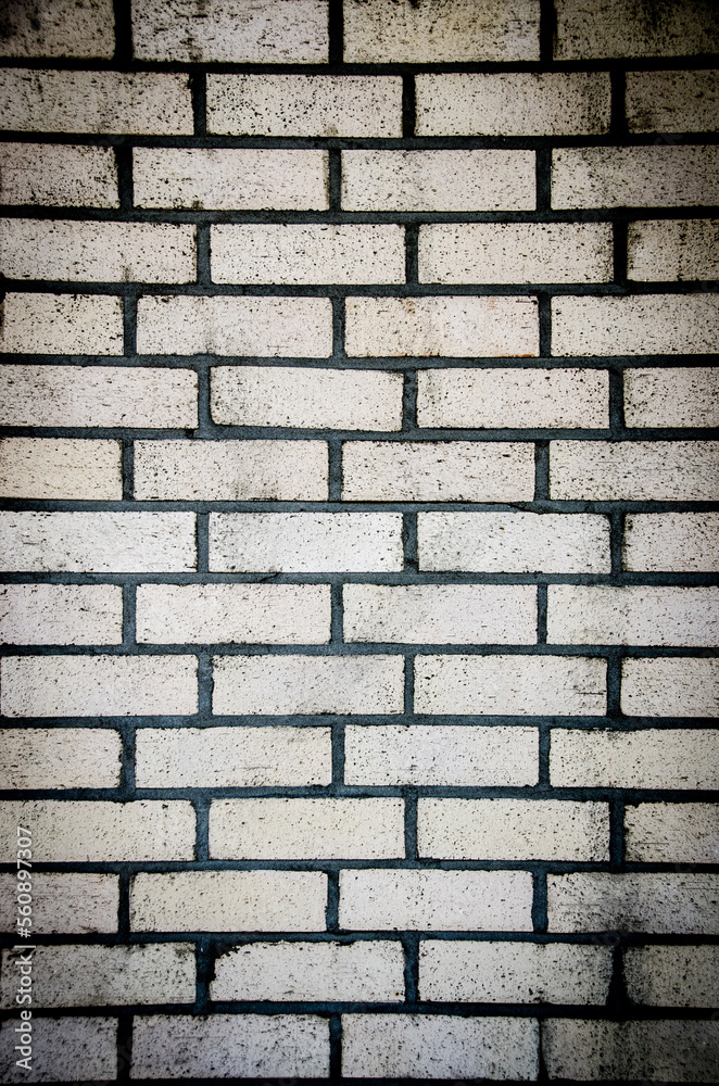Fototapeta premium 벽돌 벽