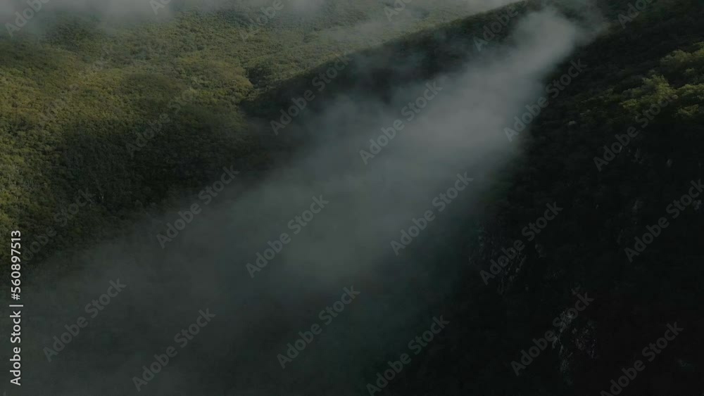 Aerial view of misty forest in mountains, morning fog clouds above the mountain woodland Aerial view of misty forest in mountains, morning fog clouds above the mountain woodland