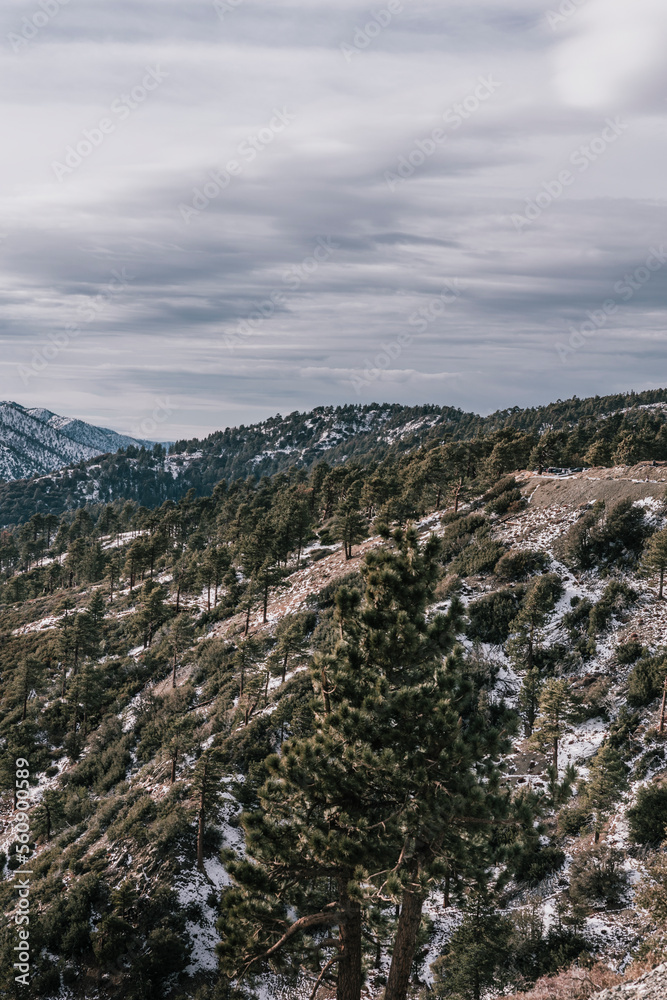 Landscape photography from Angeles National Forest