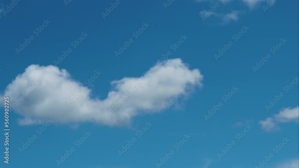 Timelapse white cumulus cloud in Blue sky, Puffy fluffy white clouds Nature weather blue sky. Timelapse white cumulus cloud in Blue sky, Puffy fluffy white clouds Nature weather blue sky.