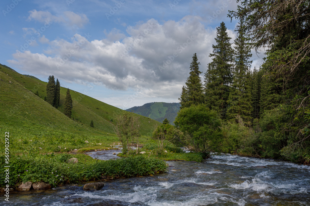 Obraz premium mountain river in the mountains