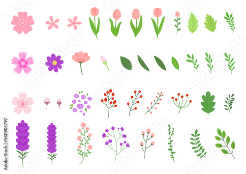 Vector illustration of flowers and leaves. #560905797