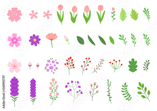 Vector illustration of flowers and leaves.