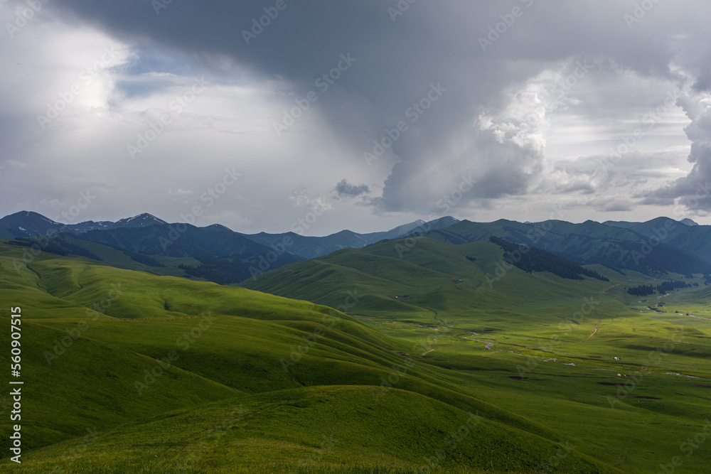 landscape in the summer