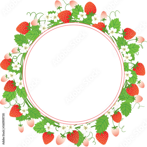 frame with strawberries