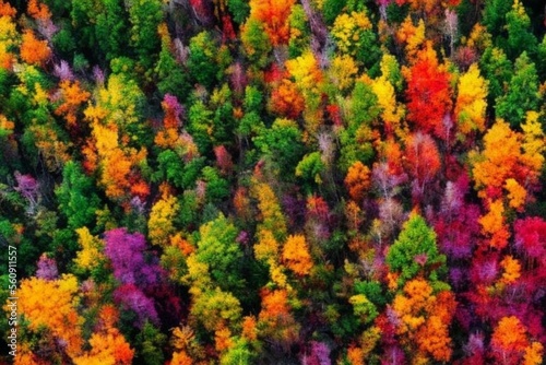 Una imagen generada por inteligencia artificial de un bosque colorido en otoño.