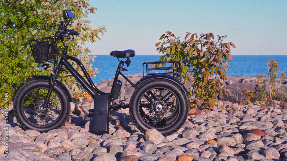 Fototapeta premium Electric bicycle in the lake park in sunny summer day. Natural lighting. Electric trike or bike E motor and power battery of the three wheel bike. Ecology and green energy concept. Ev electric vehicle