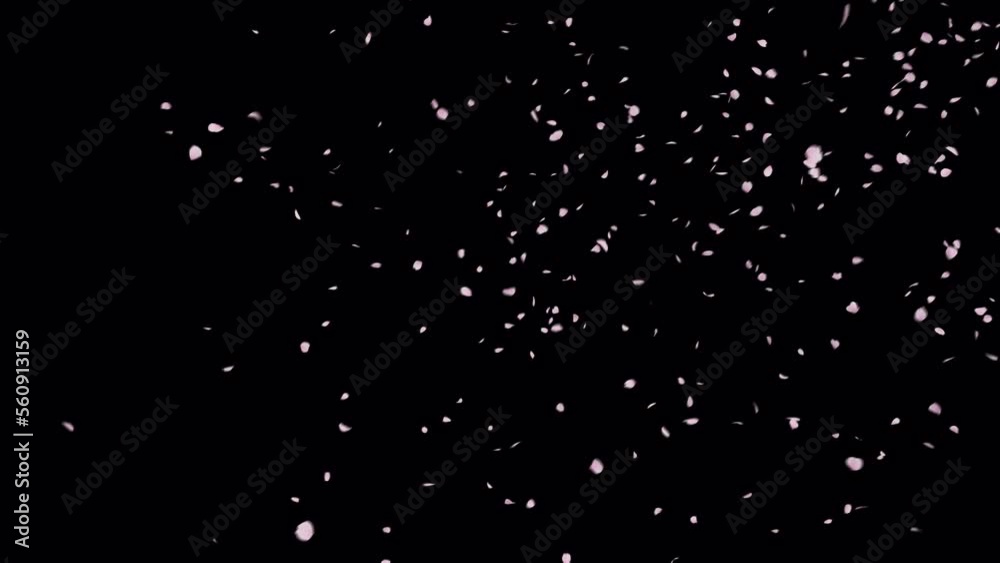 Cherry Blossom Petals fall with alpha channel. This work is element of cherry blossom you can place on footage or background and easier to adjust color. Cherry Blossom Petals fall with alpha channel. This work is element of cherry blossom you can place on footage or background and easier to adjust color.