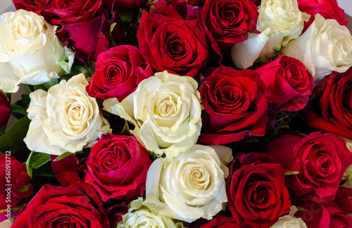 Close-up of a bouquet of a large number of white  red and pink roses