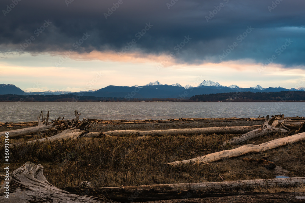 2023-01-11 VIEW OF THE DISTANCE MOUNTAINS WITH A DARK SKY FROM THE IVERSON SPIT PRESERVE ON CAMANO ISLAND