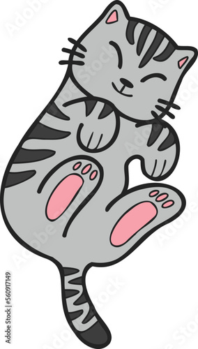 Hand Drawn Sleeping striped cat showing belly illustration in doodle style