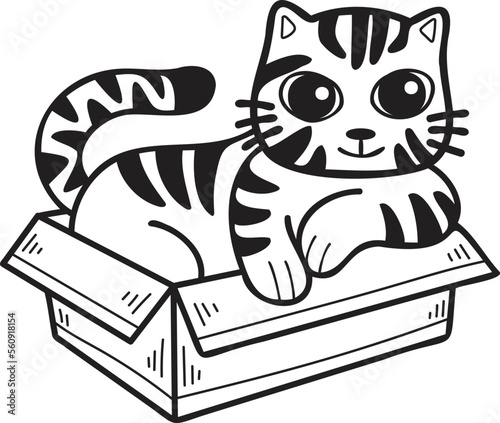 Hand Drawn striped cat in box illustration in doodle style