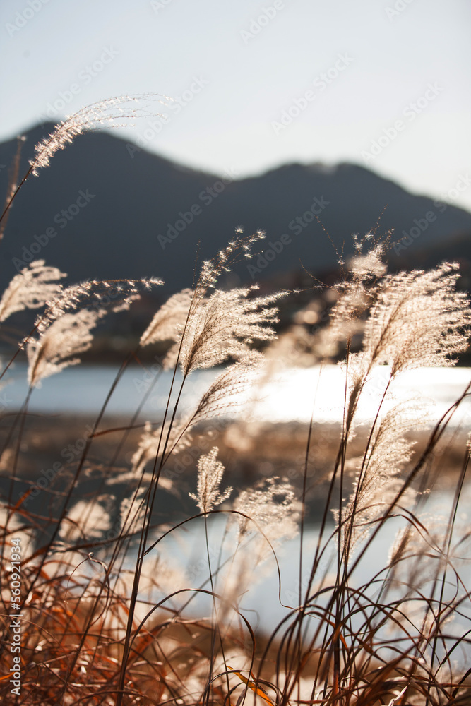 Obraz premium A new picture that you can feel the mood of autumn